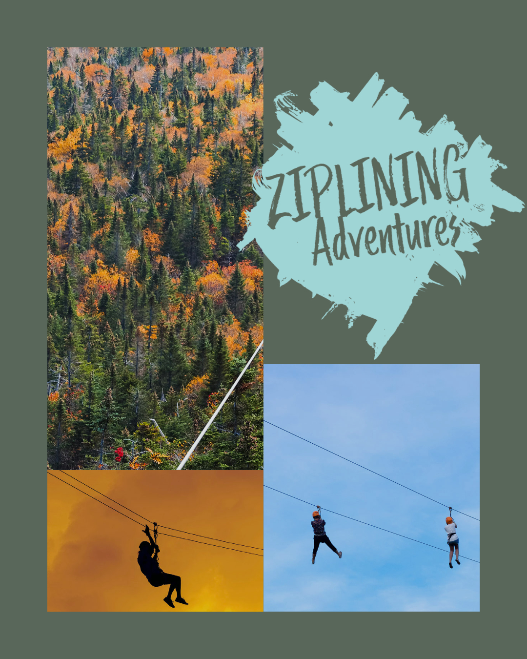 ziplining graphic